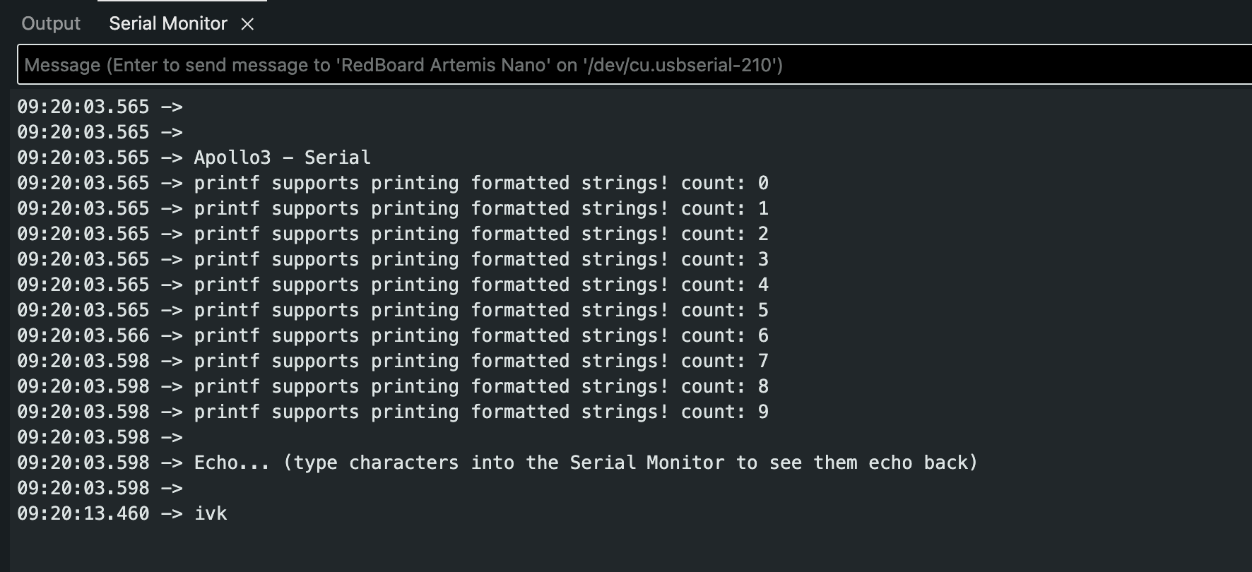 Serial Monitor Output