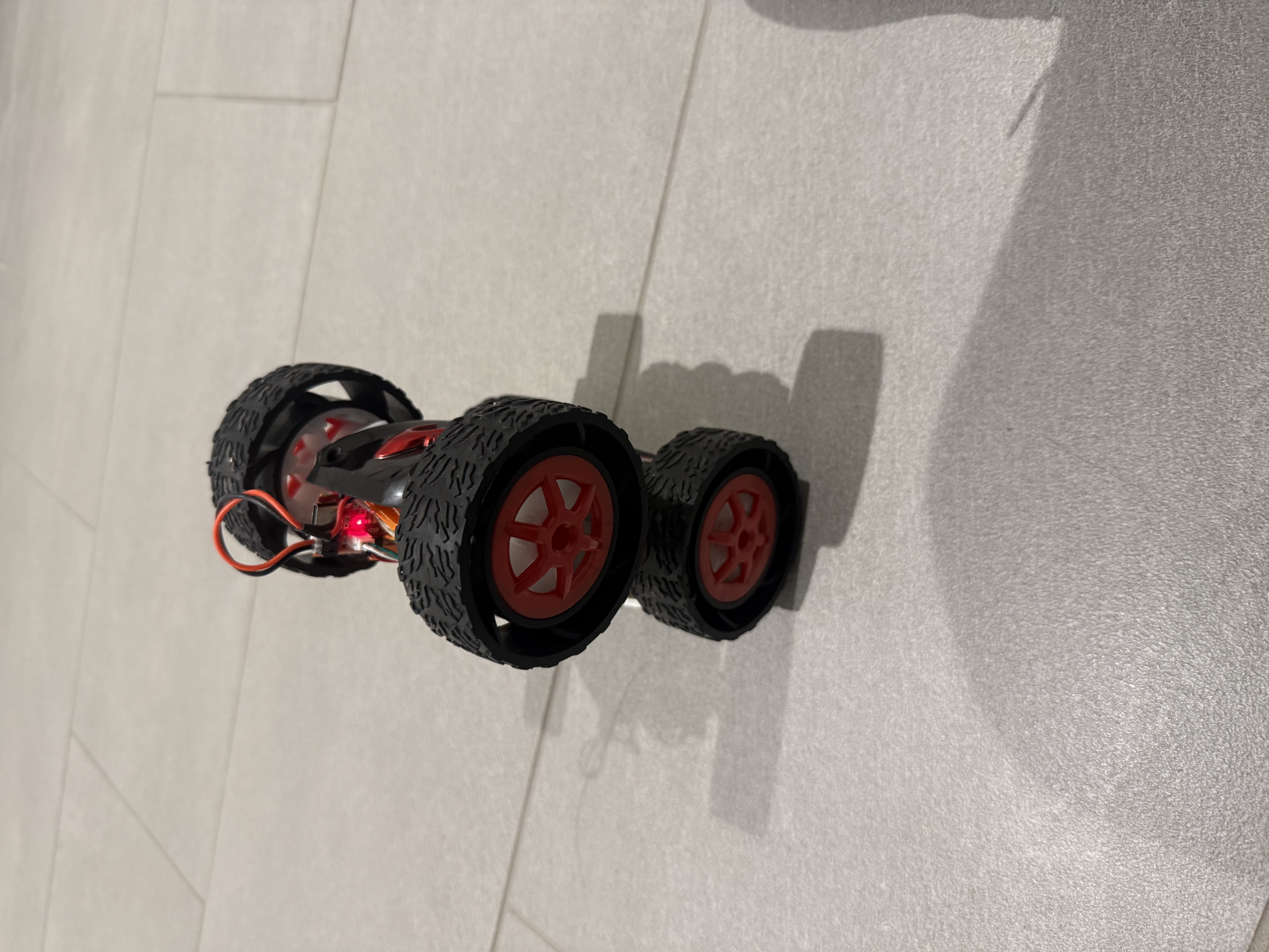Balanced wheelie — photo 1